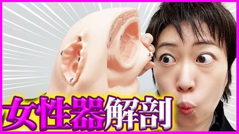 知っているようで良く知らない「女性器」のすべて！医師が詳し。